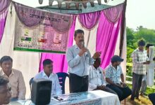 Field Inspection of High-Density Cotton Cultivation 12 WhatsApp Image 2026 10 23 at 5.52.10 PM