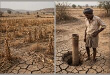 Gopalpet and Yedula Declared Drought-Affected Mandals 9 WhatsApp Image 2026 10 28 at 8.03.22 AM